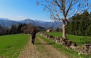 72 Verdi ormai i prati delle Stalle d'Aral